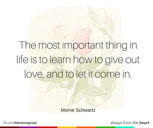 The most important thing in life is to learn how to give out love, and to let it come in. -Morrie Schwartz